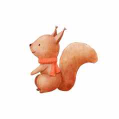 水彩婴儿松鼠字符冬天围巾手画可爱的林地动物卡通插图孤立的白色