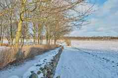 冬季农村丹麦冬天景观阳光明媚的一天蓝色的天空
