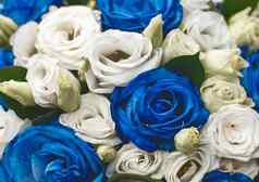 装饰婚礼花束花蓝色的白色玫瑰纹理背景特写镜头