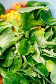 菠菜玉米番茄黄瓜沙拉橄榄石油食物适当的营养素食者食物