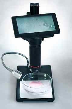 数字显微镜游戏改变生活拍摄数字显微镜显示结果样本液体实验室