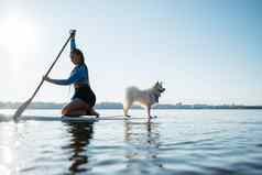 女人paddleboarding城市湖早期早....狗日本斯帕斯坐着董事会