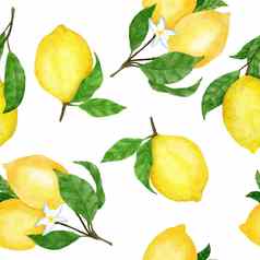 水彩手画无缝的模式柠檬柑橘类水果夏天明亮的有机甜蜜的美味的食物植物打印收获树点缀纺织