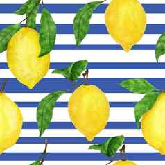 水彩手画无缝的模式黄色的柠檬蓝色的条纹背景夏天水果柑橘类植物花打印明亮的打印纺织包装纸壁纸有机情报食物概念