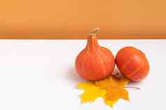 秋天作文南瓜秋天muple叶子白色橙色背景秋天秋天感恩节一天概念简约生活