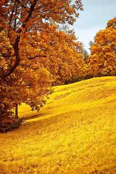 秋天风景美秋天自然环境概念