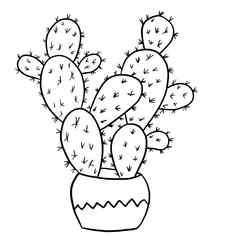 仙人掌多汁的装饰能黑色的行大纲卡通风格墨西哥沙漠仙人掌室内植物花植物中间体设计简单的极简主义设计植物夫人礼物