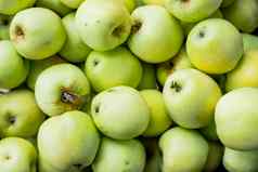 大集团明亮的绿色苹果多汁的选择水果抗氧化剂水果新鲜的美味的有机苹果背景
