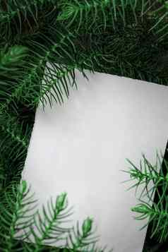 有创意的布局智利araucaria植物白色纸卡请注意平躺