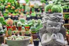 仙人掌陶瓷花能有创意的植物雕塑工艺装饰多汁的植物能首页装饰配件