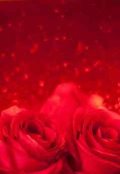 红色的玫瑰婚礼假期情人节一天风格概念