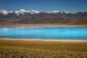 拉古纳杂项盐湖阿塔卡马沙漠火山景观智利