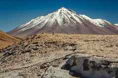 阿塔卡马沙漠冰雪覆盖火山干旱景观北部智利