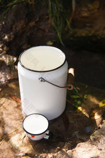 白色杯子完整的纯春天水站石头自然水春天清晰的喝水概念