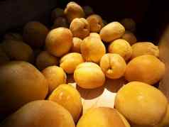 新鲜的成熟的杏子塑料盒子当地的农民市场
