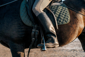 引导箍筋马术马动物农场体育运动概念骑手坐在盛装舞步鞍