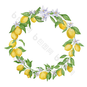 柠檬水果叶子花<strong>水彩</strong>轮花环手画植物框架孤立的白色