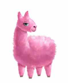粉红色的羊驼女孩水彩手画插图孤立的白色有趣的现实的火焰动物