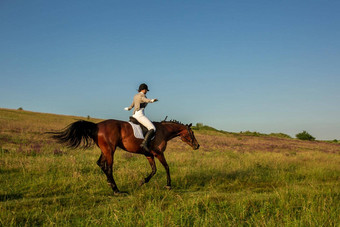 马术体育运动年轻的女人骑马盛装舞步先进的测试