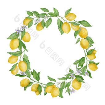 柠檬水果叶子花水彩轮花环手画植物框架孤立的白色