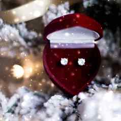 钻石耳环心形状的珠宝礼物盒子圣诞节树爱现在年夏娃情人节一天冬天假期
