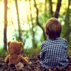 教学泰迪的事情自然男孩坐着森林泰迪熊