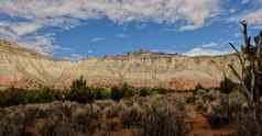 柯达彩色胶片状态公园犹他州峡谷的观点