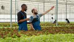 多样化的有机生菜种植者移动PC农业管理软件计划收获交付