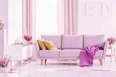 优雅的生活房间大舒适的灰色沙发上橄榄绿色枕头紫罗兰色的毯子中间时尚的生活房间加热器锅淡紫色curtainsbike