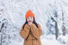 年轻的亚洲女孩冻结公园等待日期冬天雪一天女人热烈穿着