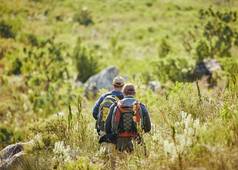 但徒步旅行绿色自然森林阳光明媚的夏天一天树场活跃的健身朋友徒步旅行走冒险森林可持续发展的生态环境