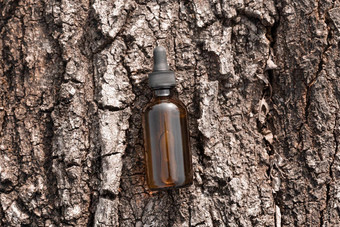 血清石油琥珀色的玻璃化妆品瓶树树皮前视图反老化血清胶原蛋白肽有机科学概念护肤品美产品