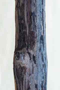 垂直黑暗棕色（的）狭窄的板材日志硬木树皮表面纹理阀杆背景海空董事会