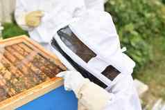 养蜂人孩子养蜂场保护西装