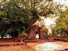古老的寺庙门phrangam根树盖茨大城府