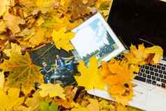照片书黄色的叶子前视图rustick照片秋天作文