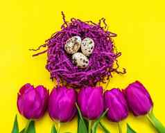 色彩斑斓的鸡蛋紫色的人工鸟的巢孤立的紫色的背景复活节概念
