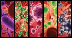 人类身体病毒结合图像微生物显微镜颜色