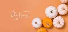 横幅文本快乐感恩节一天集团装饰南瓜前视图橙色背景