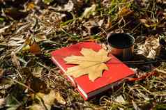 热水瓶热茶红色的书黄色的下降枫木叶秋天