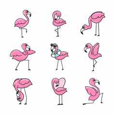 集火烈鸟可爱的粉红色的火烈鸟鸟集贴纸设计