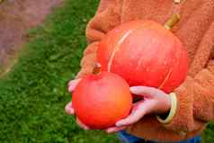 女孩持有橙色南瓜杰克灯笼孩子准备万圣节假期10月蔬菜收获秋天季节概念南瓜复制空间