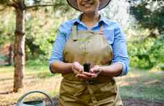 特写镜头女人农业家生态农民持有发芽番茄幼苗根地球种植泥炭能