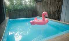 粉红色的充气环火烈鸟塑料游泳池蓝色的水