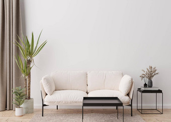 空白色墙现代生活房间模拟室内当代斯堪的那维亚风格免费的复制空间<strong>图片海报</strong>文本设计沙发植物彭巴斯草原草呈现
