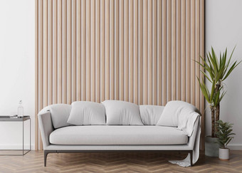 空墙木木板现代生活房间模拟室内当代斯堪的那维亚风格免费的复制空间图片海报沙发表格植物呈现