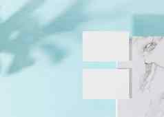 空白白色业务卡片大理石表面植物阴影蓝色的背景模拟品牌身份卡片模板图形设计师免费的复制空间呈现