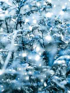 冬天假期背景自然风景闪亮的雪冷天气圣诞节时间