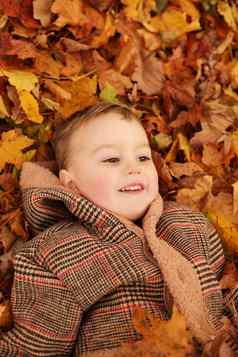 户外有趣的秋天孩子玩秋天下降叶子公园快乐男孩说谎黄色的叶子在户外视图