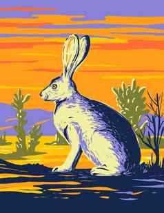 美国沙漠毛约书亚树国家公园莫哈韦沙漠沙漠加州水渍险海报艺术